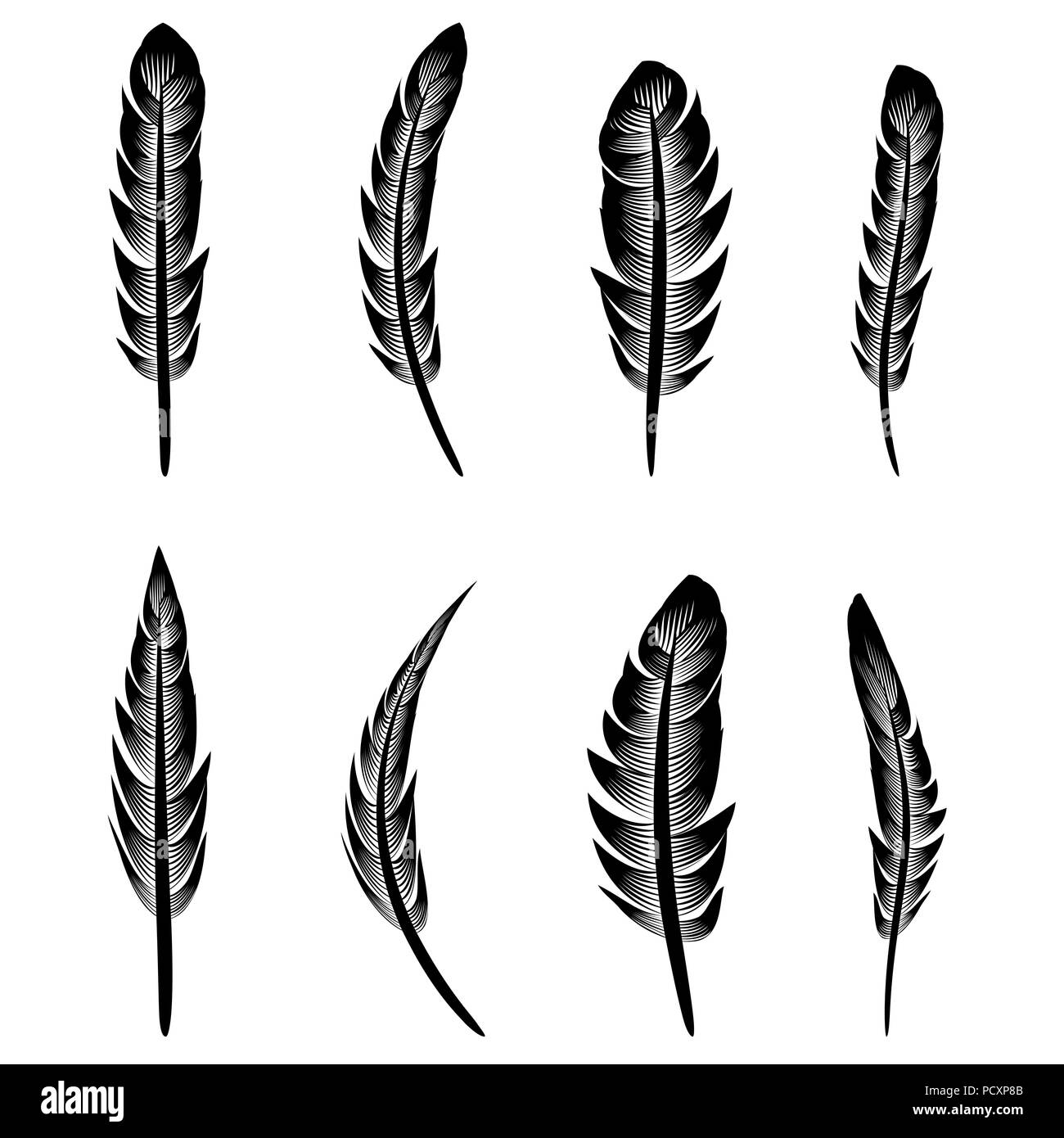 Feather Silhouette Collection Stock Vector