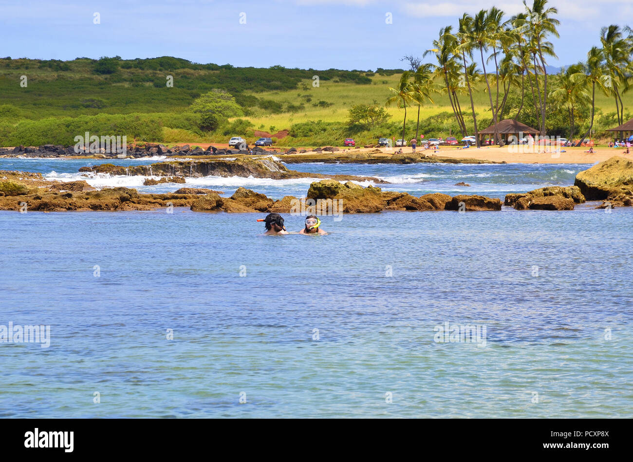 Snorkeling at Poipu Beach Park in Koloa on the Island of Kauai in Hawaii Stock Photo Alamy