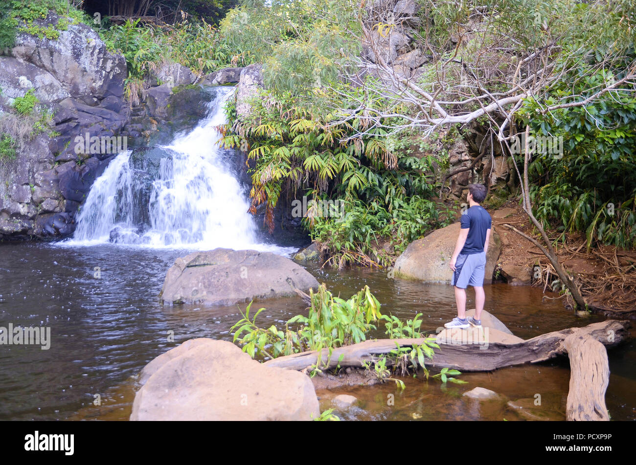 Young male contemplating a swimming hole along the Waipoo Falls trail
