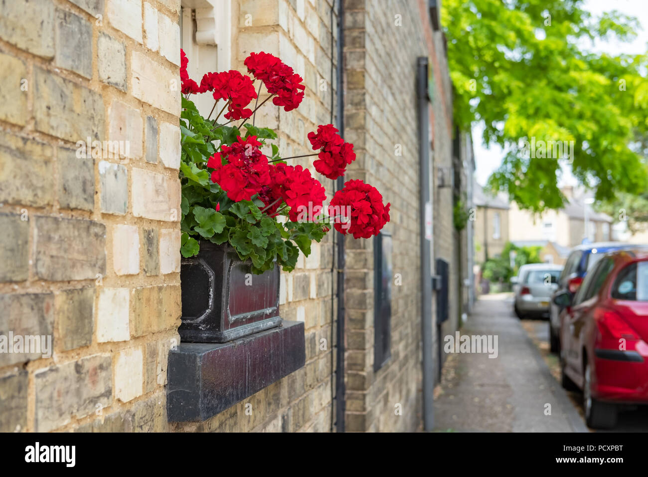 Isolated image of a red flower arrangement seen on a wrought iron
