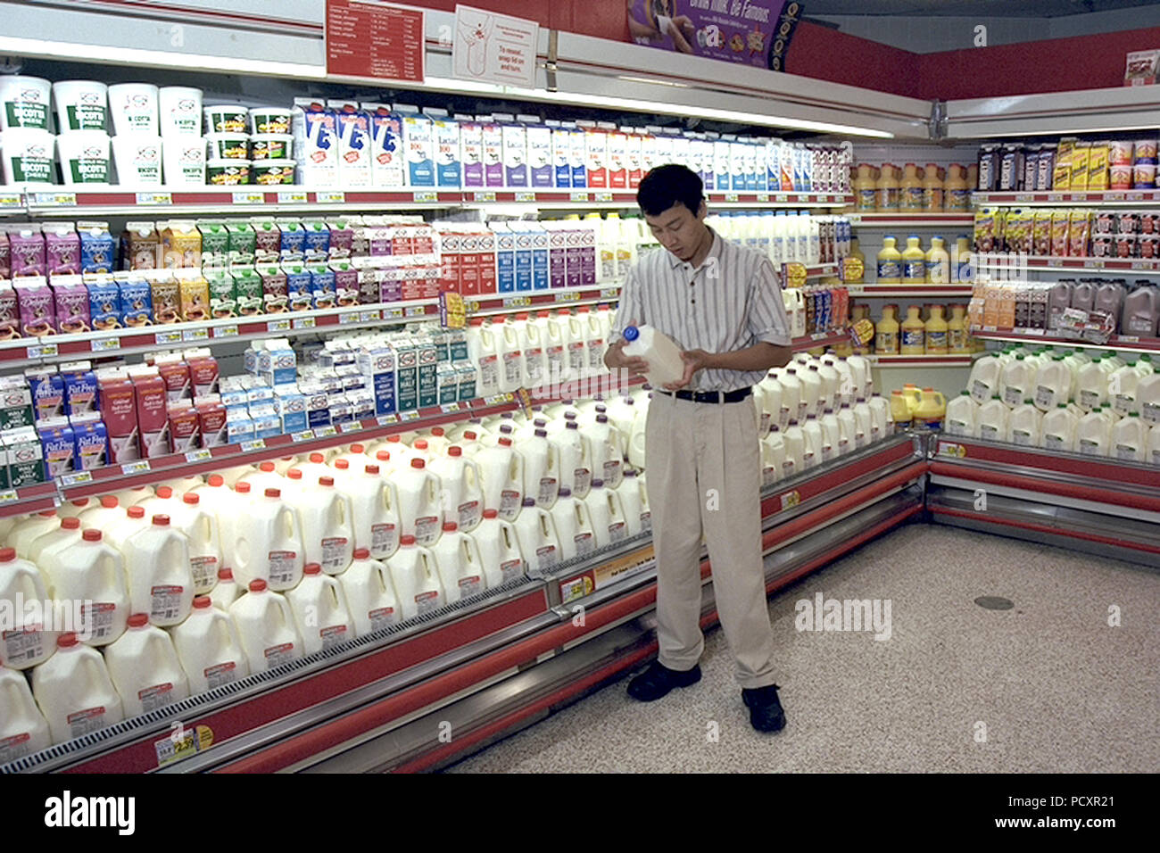 June 2000 Shopper Examines Label On Milk In Dairy Section Of Grocery Store Stock Photo Alamy