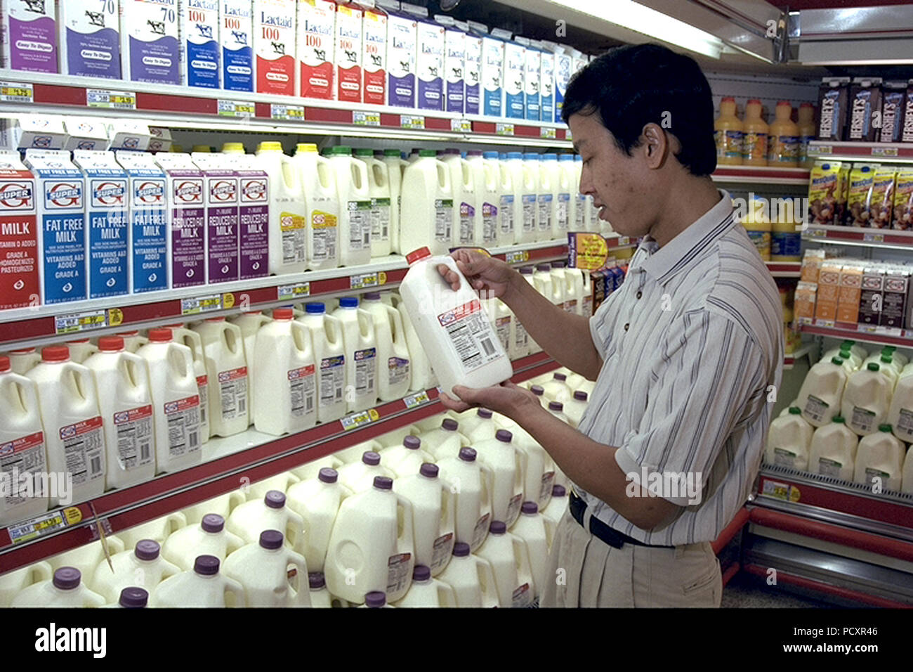 June 2000 Shopper Examines Label On Milk In Dairy Section Of Grocery Store Stock Photo Alamy