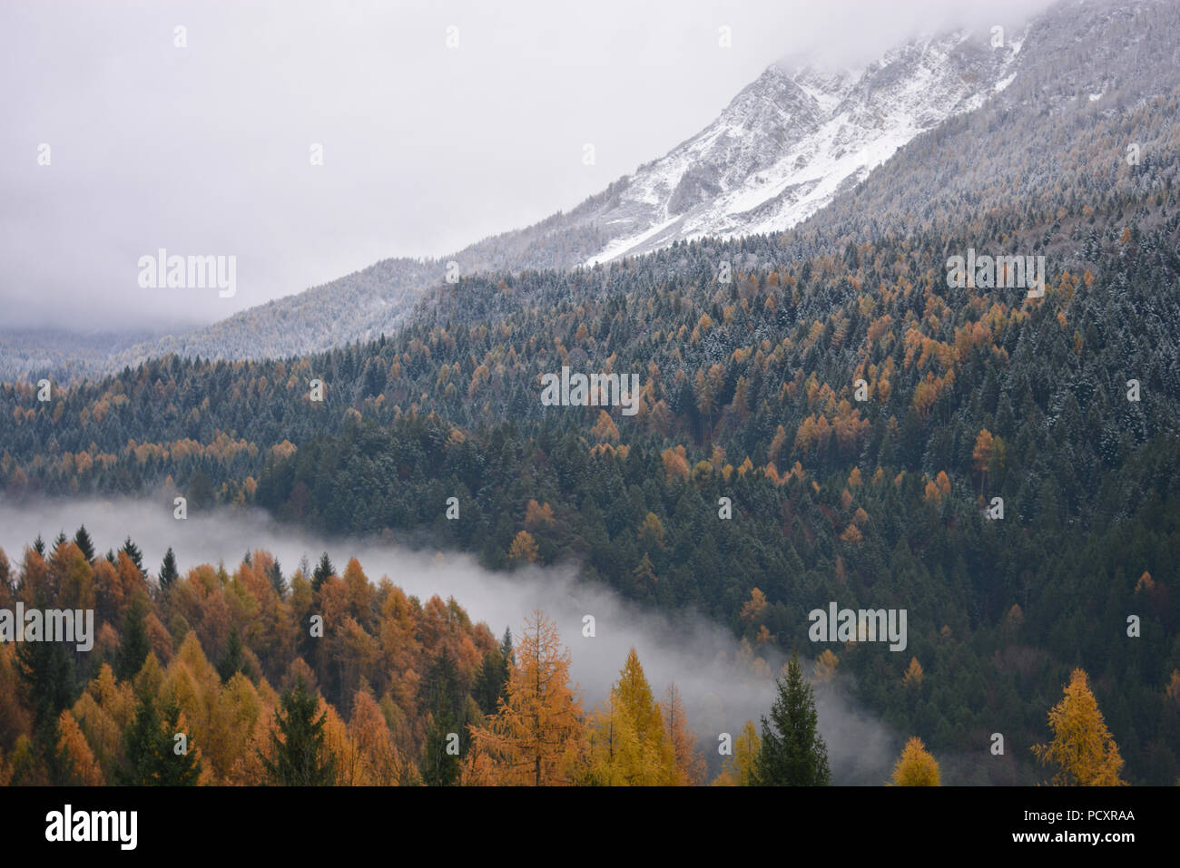 Autumn and winter divided by fog Stock Photo