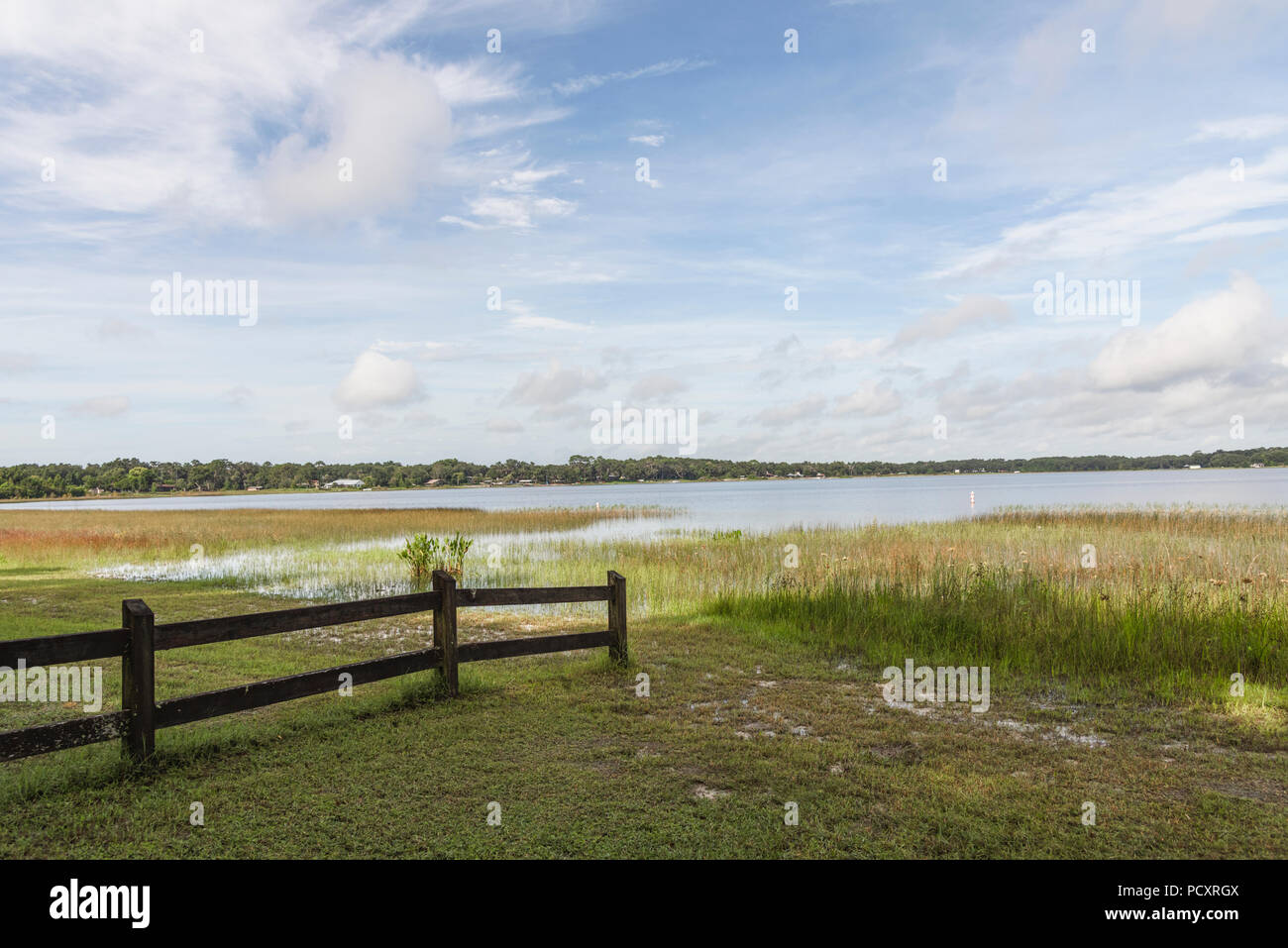 From the shores of Lake Weir in Marion County, Florida Stock Photo Alamy
