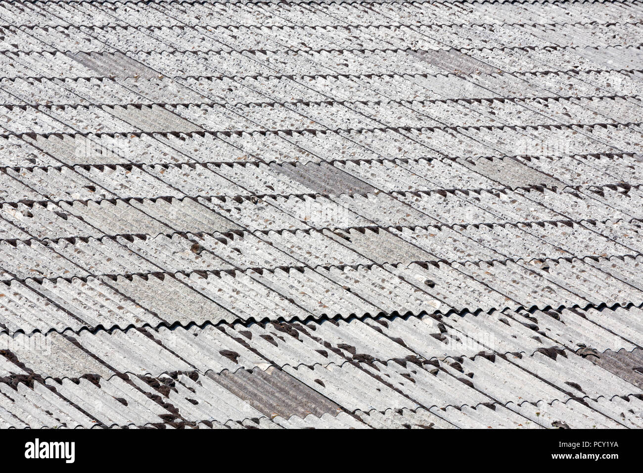 Surface of an old large corrugated Asbestos Cement or AC sheet or Fibro sheeted roof. Stock Photo