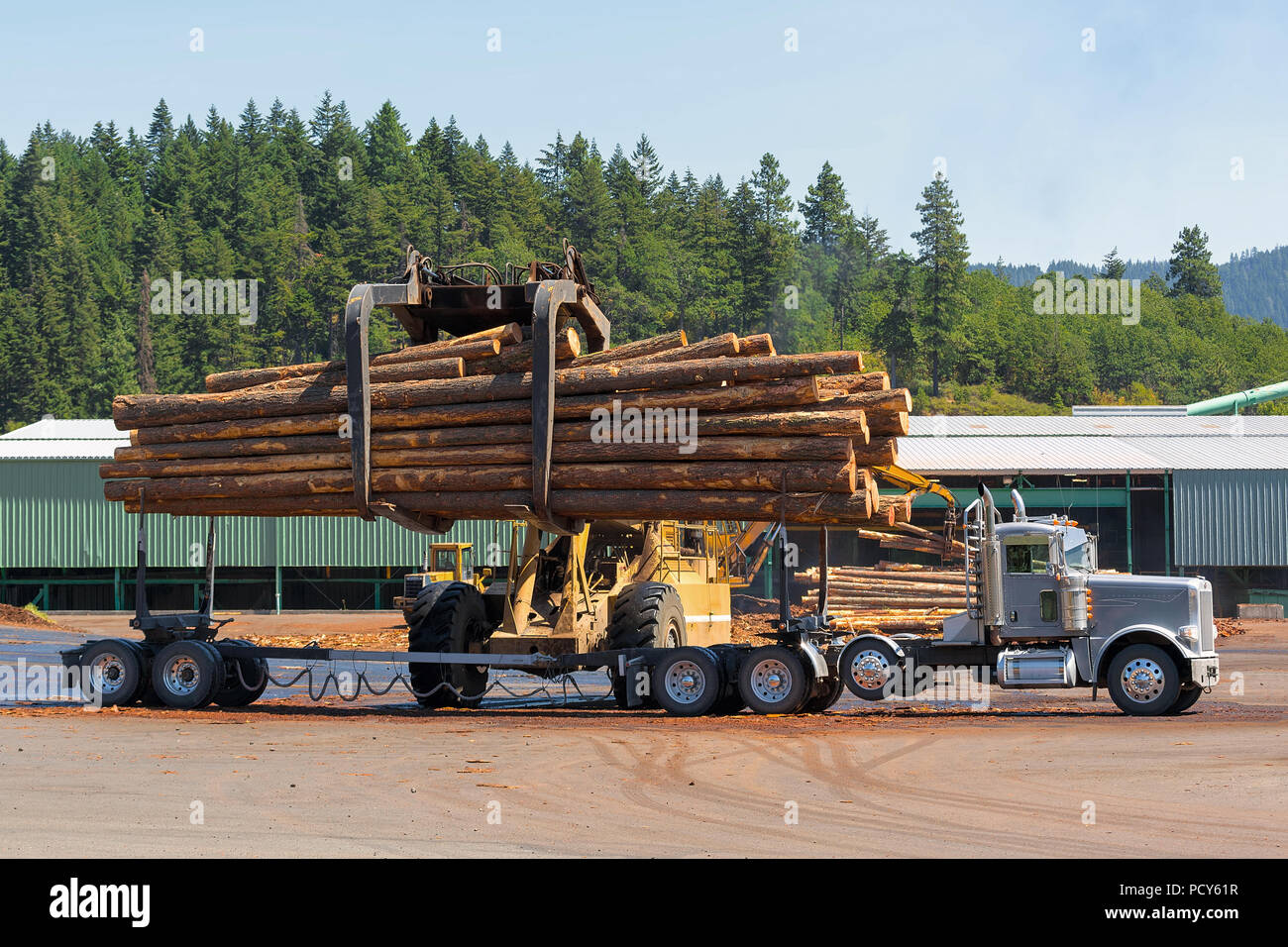 Logs unloading off semi truck at lumber yard in Oregon Stock Photo