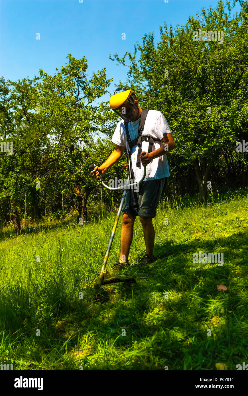 Close up of man mowing green wild grass field using brush cutter mower or power tool string lawn trimmer. Stock Photo