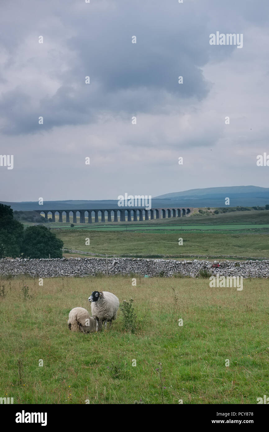 Two sheep and famous Ribblehead Viaduct in the Yorkshire Dales Stock Photo