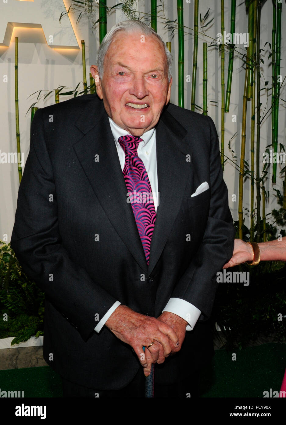 NEW YORK, NY - JUNE 02: David Rockefeller attends the 2015 Museum of Modern Art Party In The Garden and special salute to David Rockefeller on his 100th Birthday at Museum of Modern Art on June 2, 2015 in New York City   People:  David Rockefeller Stock Photo