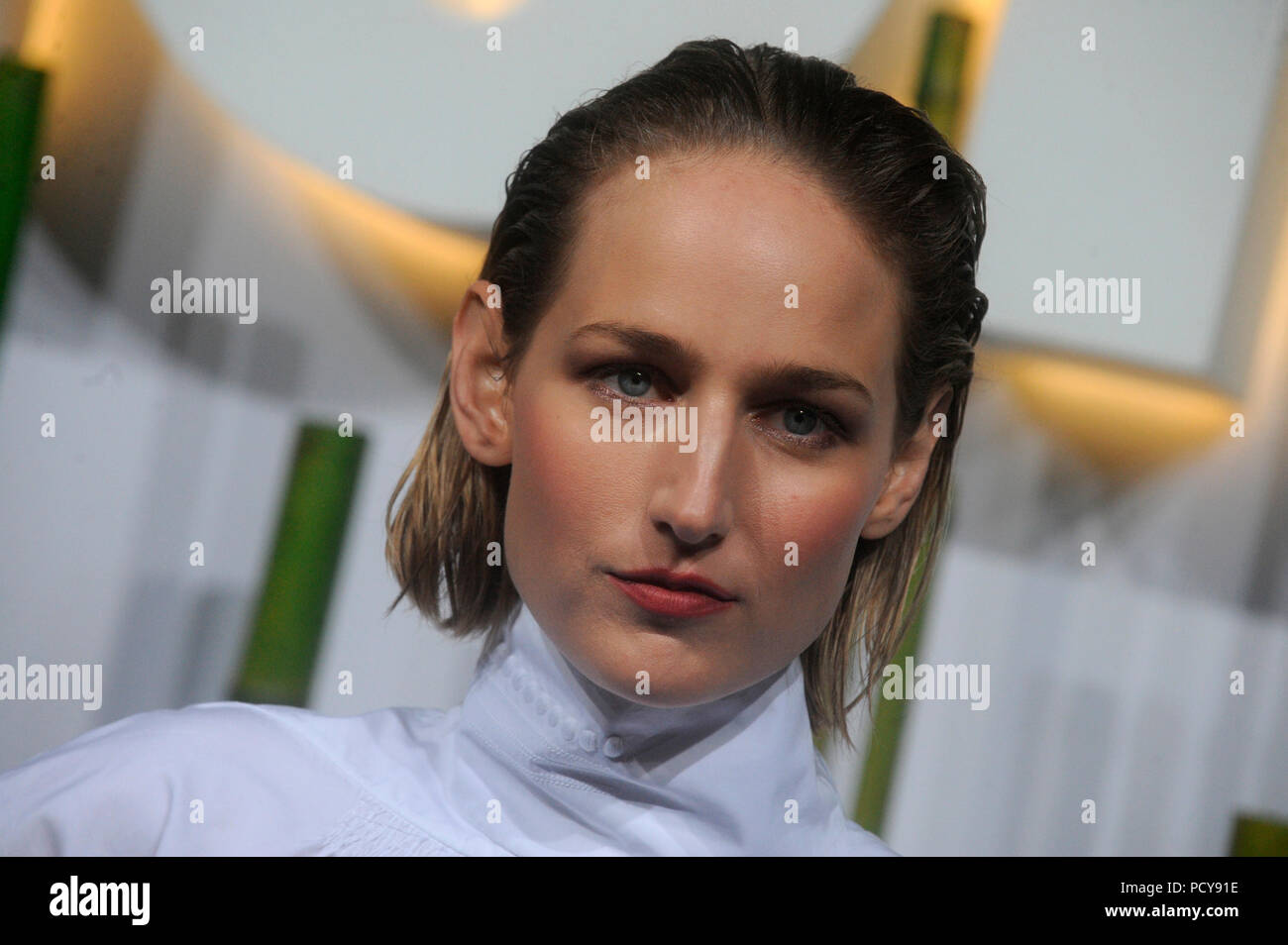 NEW YORK, NY - JUNE 02: Leelee Sobieski attends the 2015 Museum of Modern Art Party In The Garden and special salute to David Rockefeller on his 100th Birthday at Museum of Modern Art on June 2, 2015 in New York City   People:  Leelee Sobieski Stock Photo