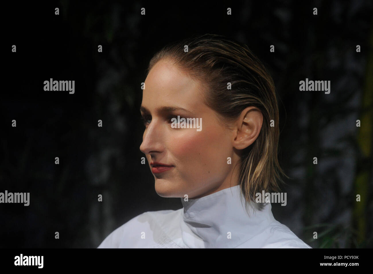 NEW YORK, NY - JUNE 02: Leelee Sobieski attends the 2015 Museum of Modern Art Party In The Garden and special salute to David Rockefeller on his 100th Birthday at Museum of Modern Art on June 2, 2015 in New York City   People:  Leelee Sobieski Stock Photo