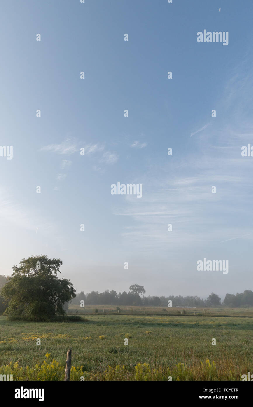 Fog above green grass hi-res stock photography and images - Alamy