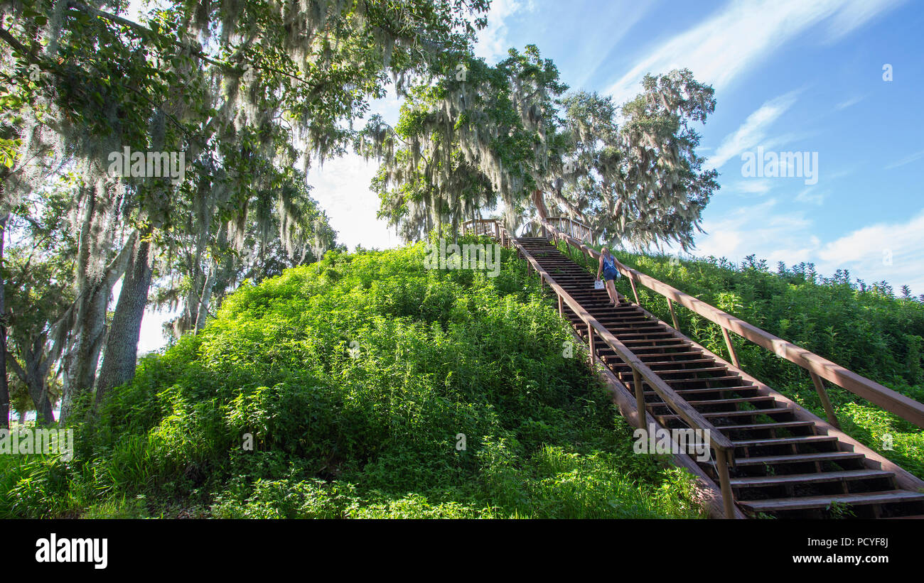Crystal River Archaeological State Park, Temple Mound Stock Photo Alamy