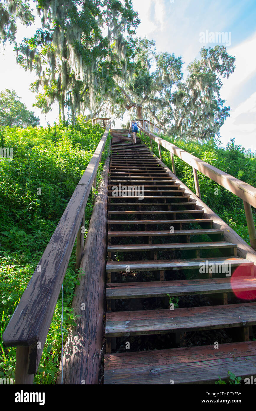 Crystal River Archaeological State Park, Temple Mound. Stock Photo