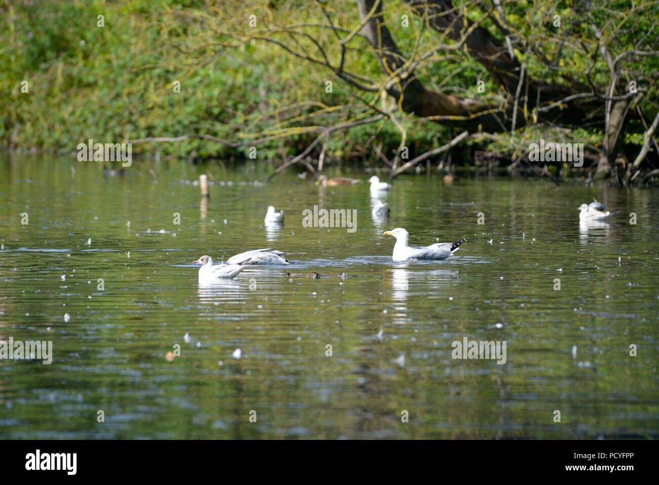 West Kirby, Wirral Stock Photo Alamy