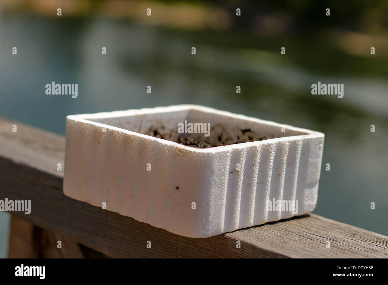 A styrofoam bait worm container on a ledge next to a lake ready to
