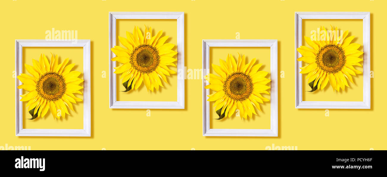 Sunflower In White Frame Pattern On Ayellow Background Creative