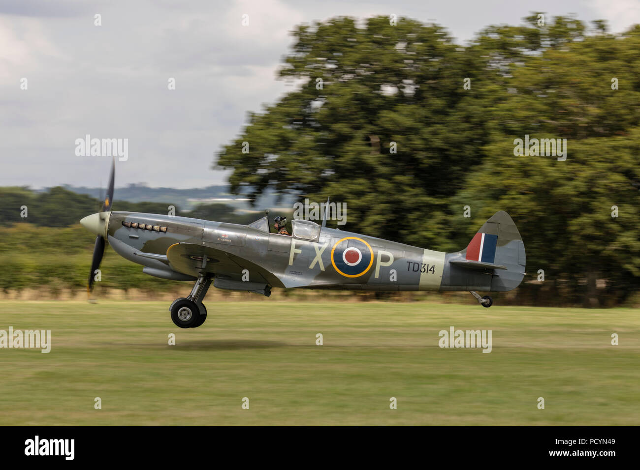 Side view of a historic RAF Spitfire aeroplane landing and about to touch down at Headcorn Aerodrome Stock Photo