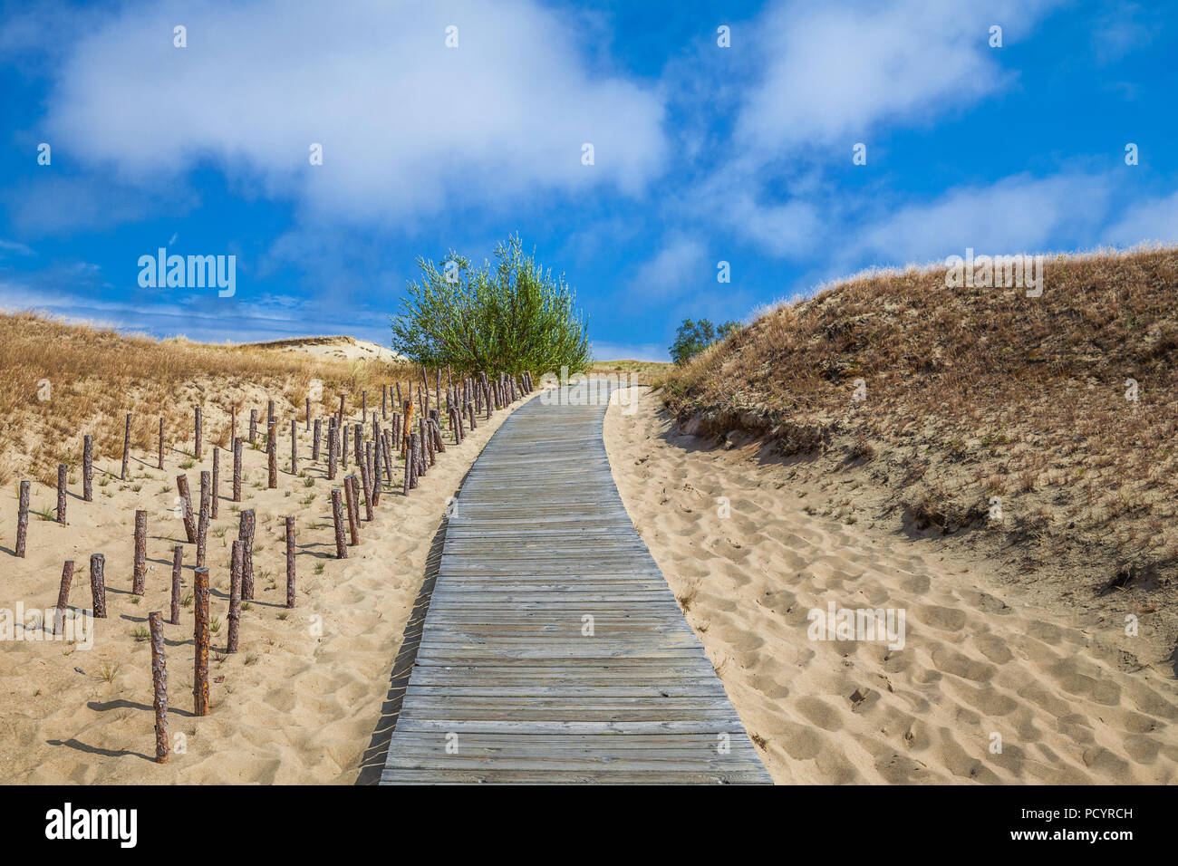 Dunes with wooden walkway over sand near Baltic sea. Board way over sand of beach dunes in Lithuania. Stock Photo