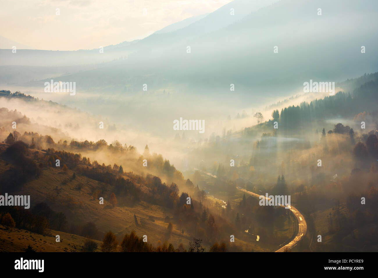 beautiful foggy background. country road down in the valley trees on hill in the mist Stock Photo