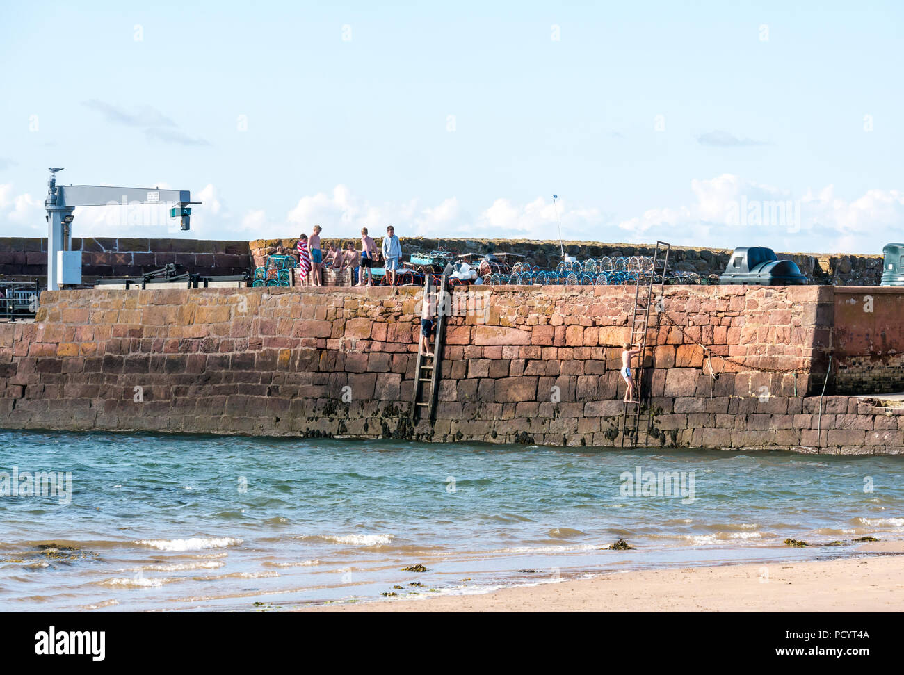 Boys climbing up harbour wall ladders after jumping into water, West bay beach, North Berwick, East Lothian, Scotland, UK in Summer heatwave Stock Photo