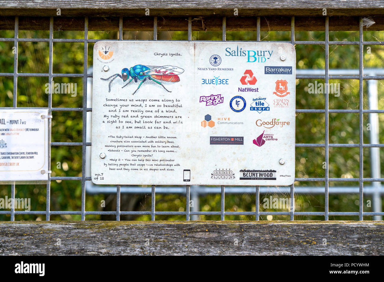 Salisbury Bee trail sign with a diagram of a Ruby tailed Wasp Chrysis ignita and list of sponsoring businesses Stock Photo
