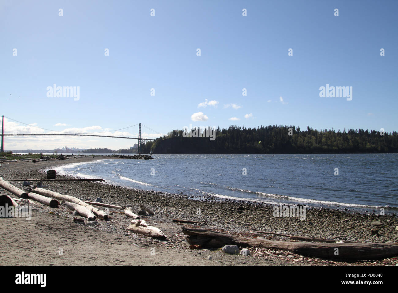 A beach on the edge of a bay looking across the water to a treed land mass.  There are logs and driftwood located on the beach. Stock Photo