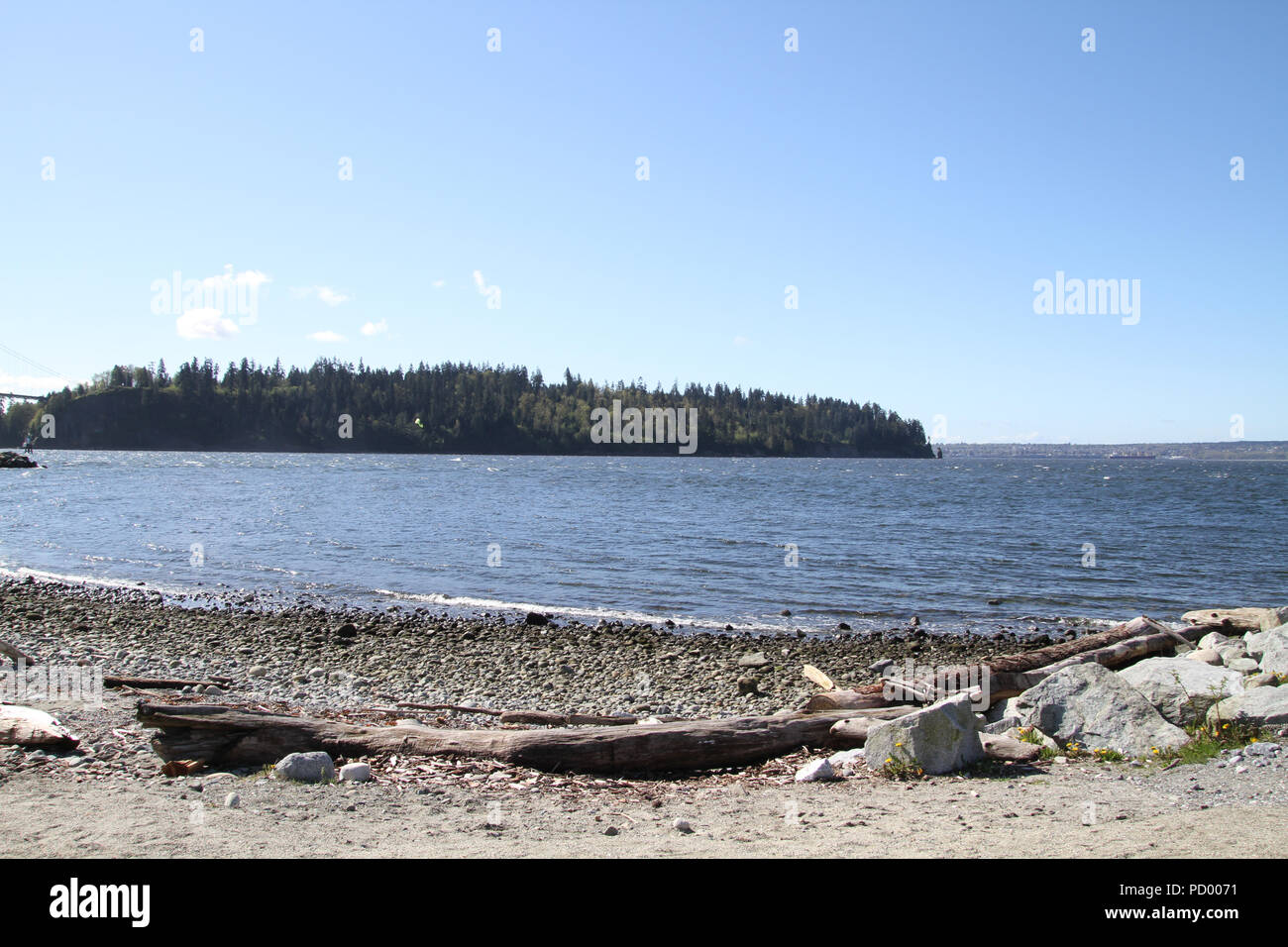 A beach on the edge of a bay looking across the water to a treed land mass.  There are logs and driftwood located on the beach. Stock Photo