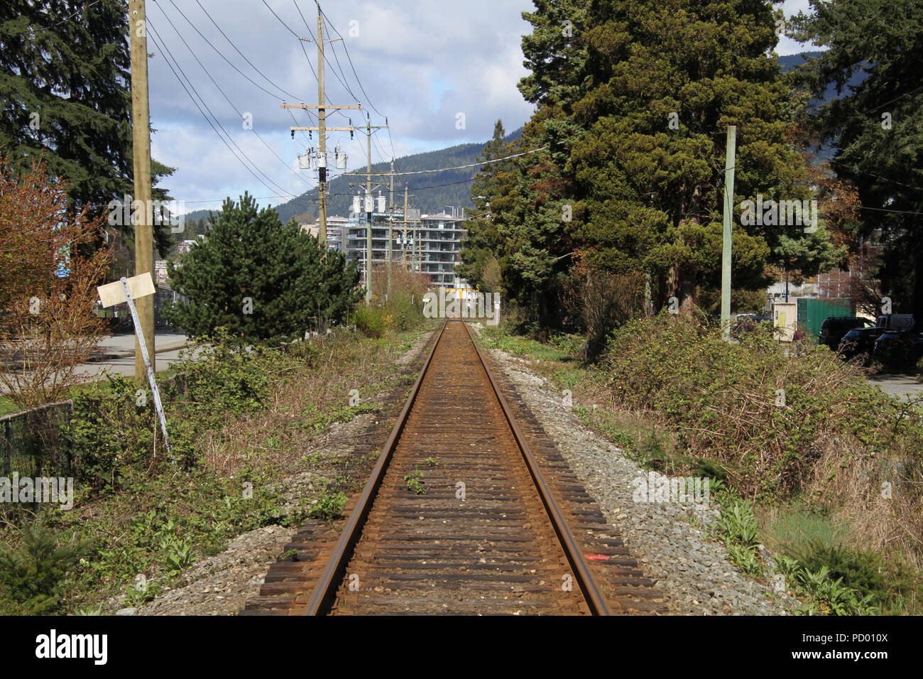 A straight run of railway tracks running between trees parallel to a