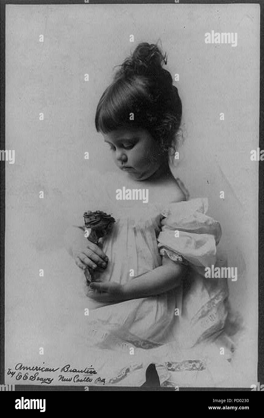 American beauties Black and White Stock Photos & Images - Alamy