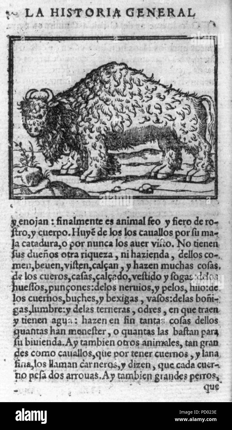 American Bison; illus. on full page with descriptive text in Spanish Stock Photo