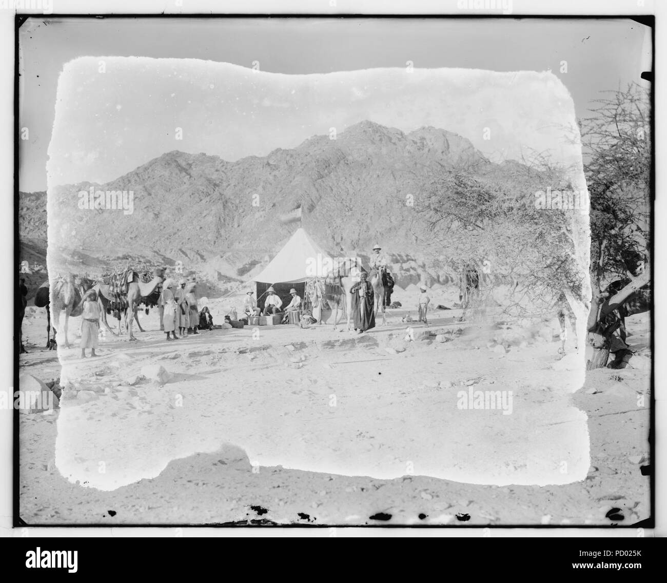 American Colony Photo Dept. expedition camp in the Sinai; Lewis Larsson seated at left in front of tent with others Stock Photo