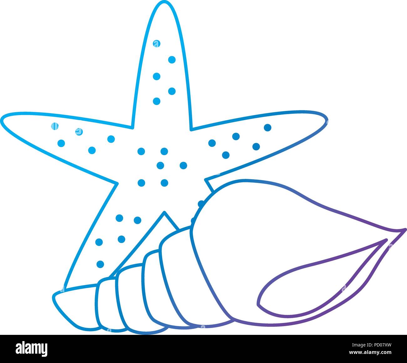 starfish with snail shell vector illustration design Stock Vector Image ...