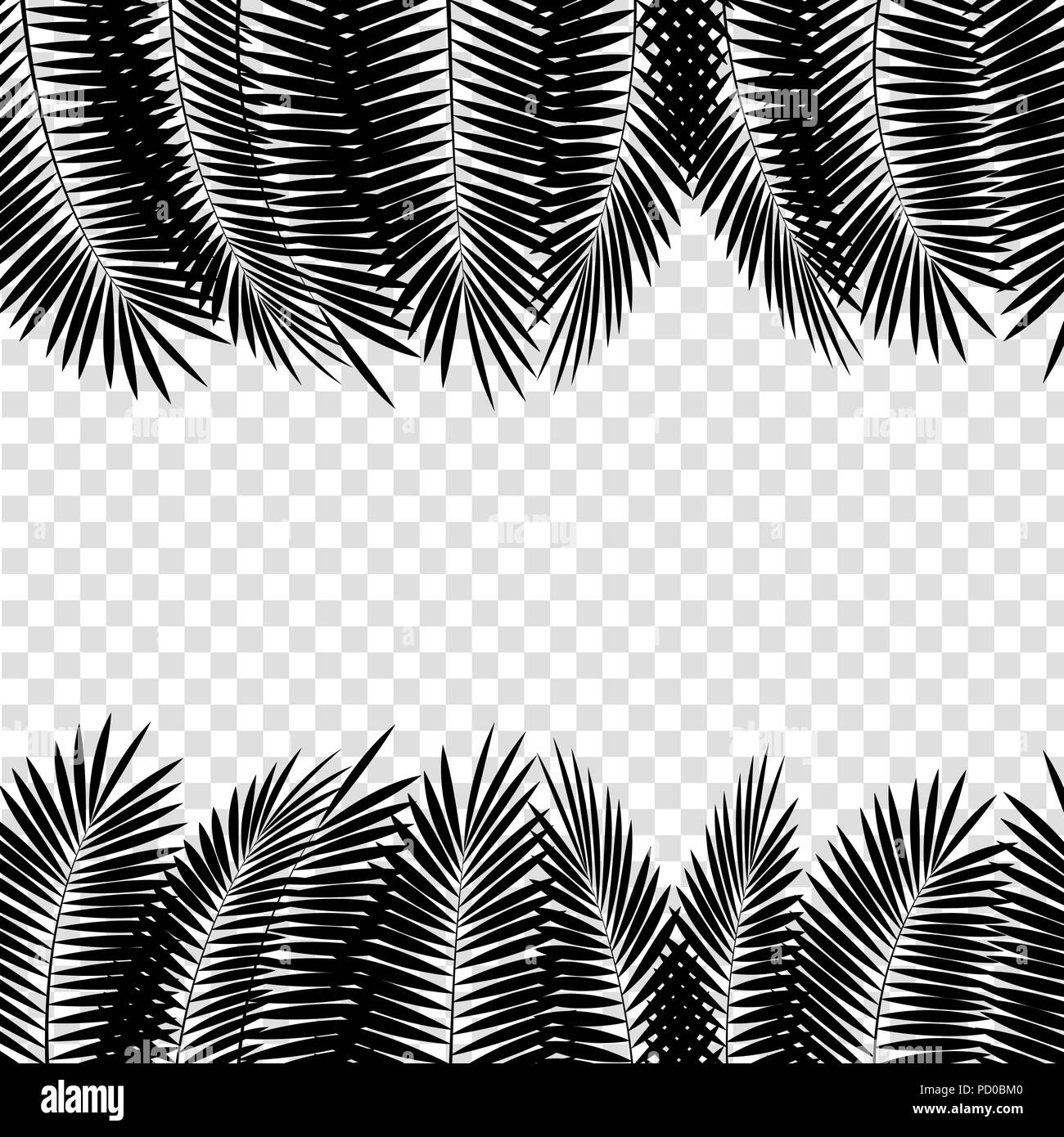 Black Palm Leaf on White Background. Vector Illustration Stock Vector