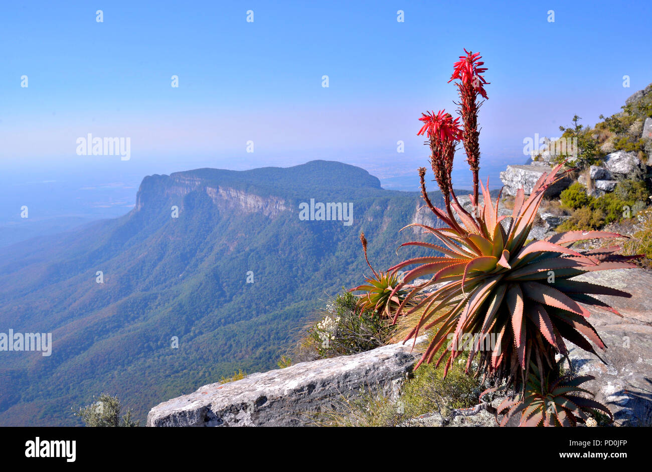 South Africa, a fantastic travel destination to experience third and first world together. View over Mpumalanga lowveld from Mariepskop mountain. Stock Photo