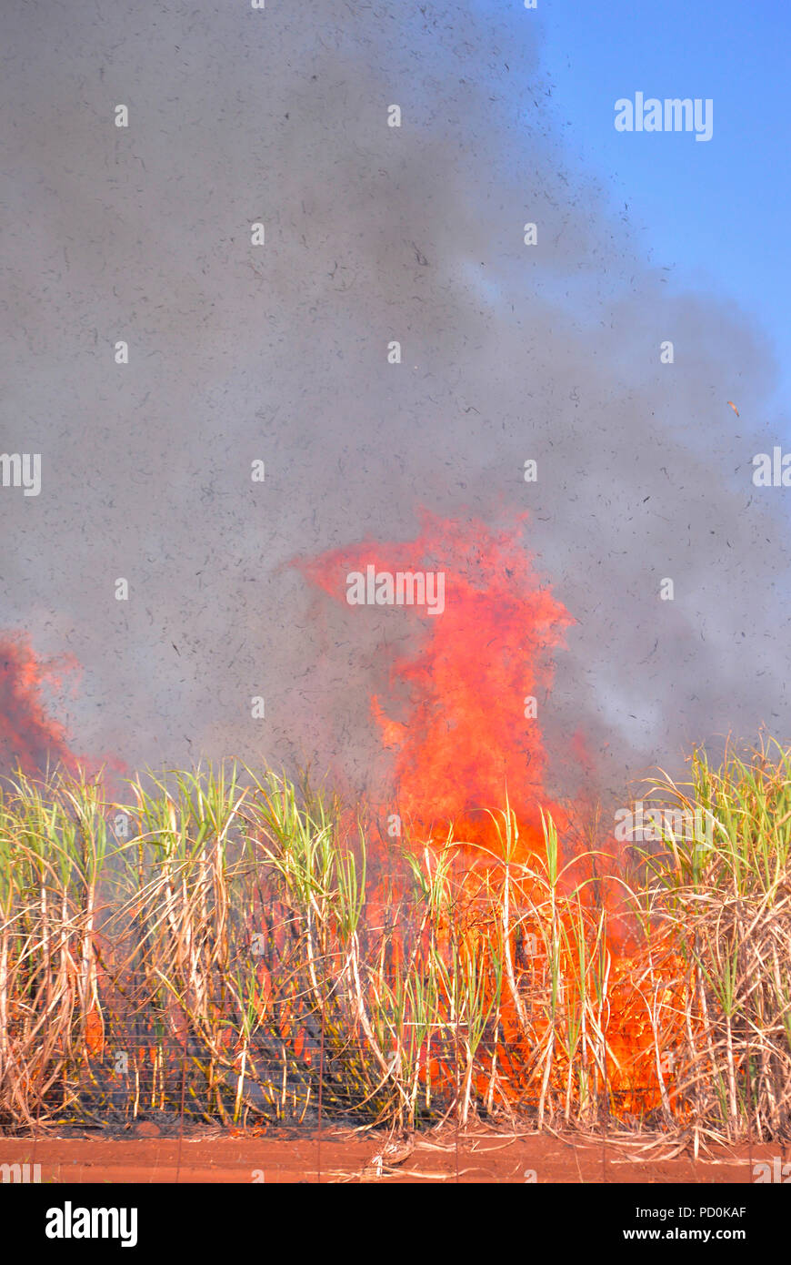 Burning sugar cane hires stock photography and images Alamy
