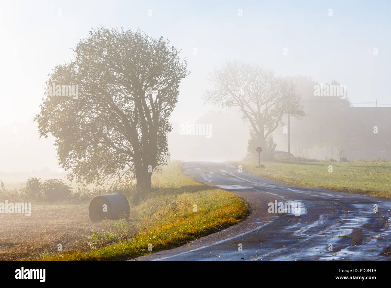 Country road with mist hi-res stock photography and images - Alamy