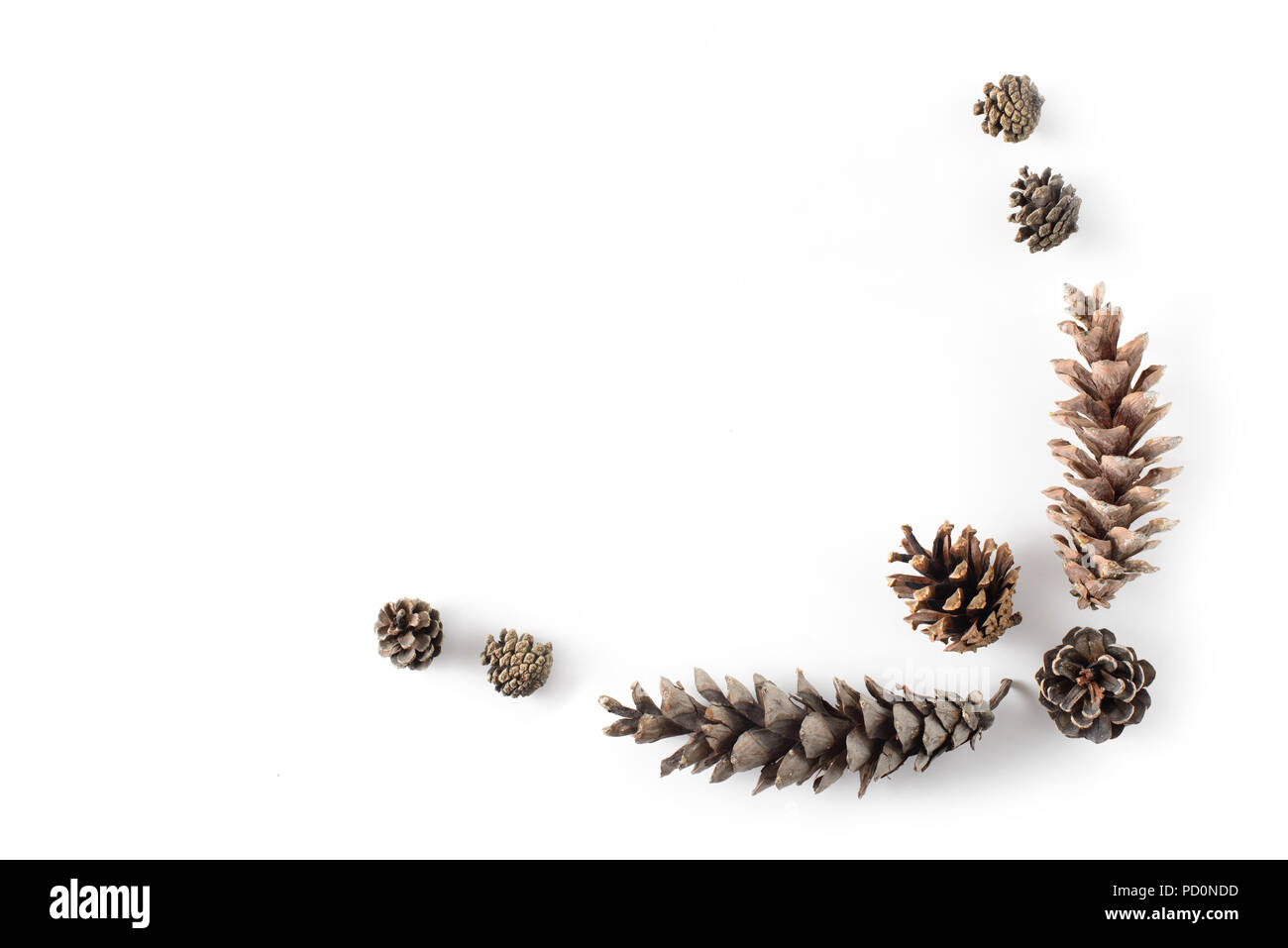 Corner frame made of cones various coniferous trees isolated on white, view from above. Free