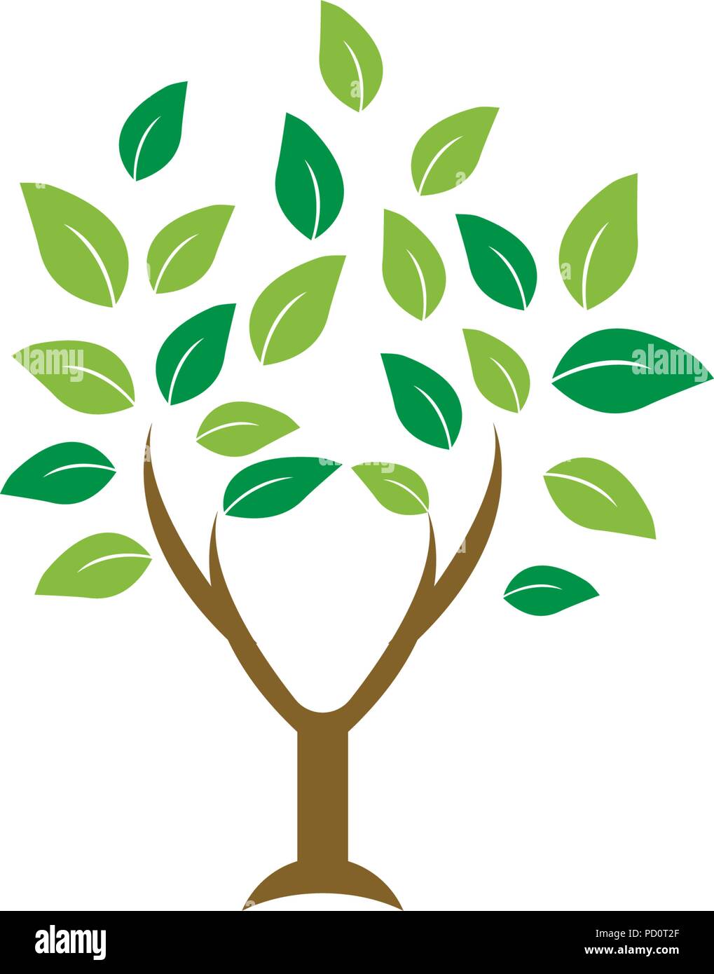 elegant tree leaf agriculture