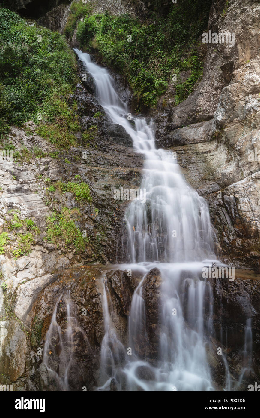 Small waterfall with plants and rocks in Rize, Turkey. Stock Photo