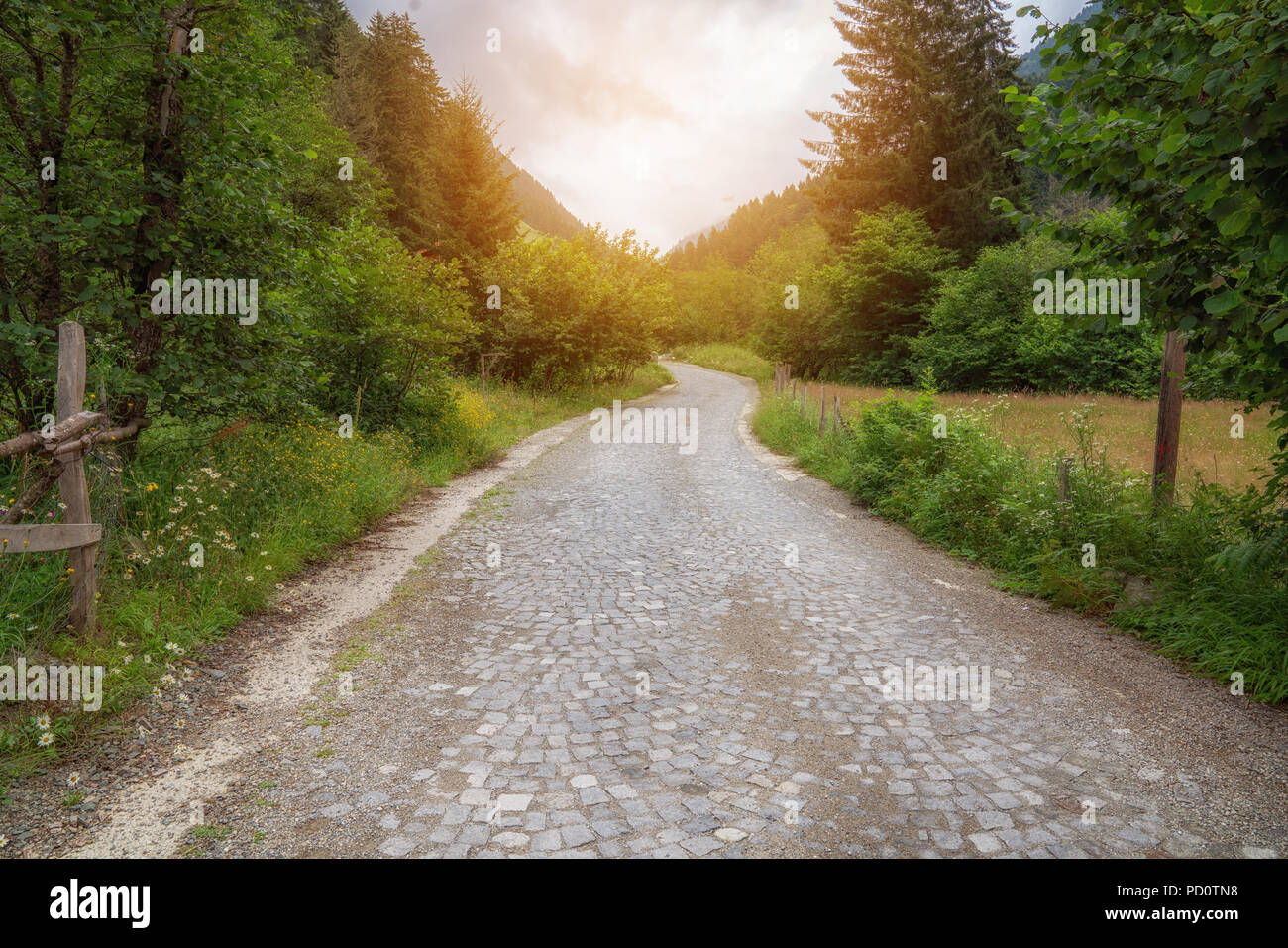 cobblestone walk way in to the park in forest Stock Photo
