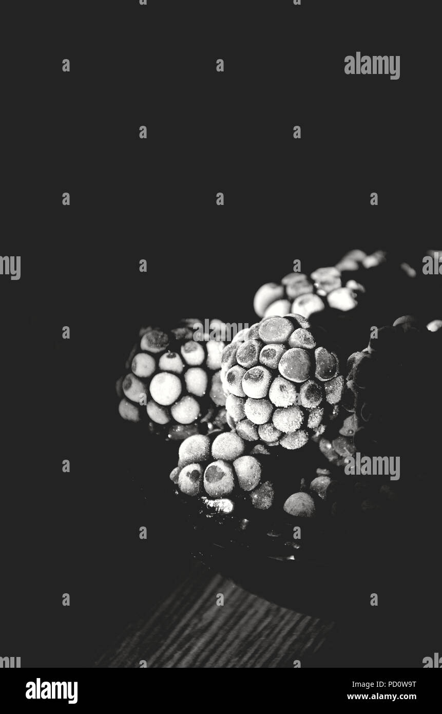 Blackberries Stock Photo