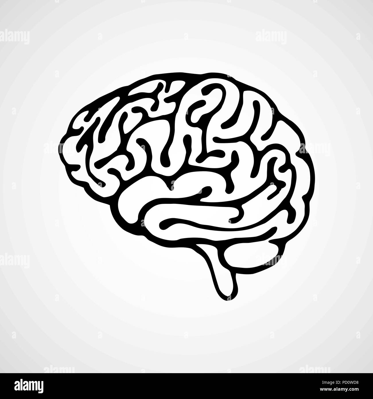 Vector Outline Illustration Of Human Brain On White Background Stock
