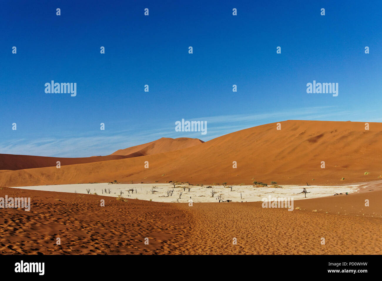 Deadvlei Namibia viewed from the top of a dune on the walk in from the car park Stock Photo