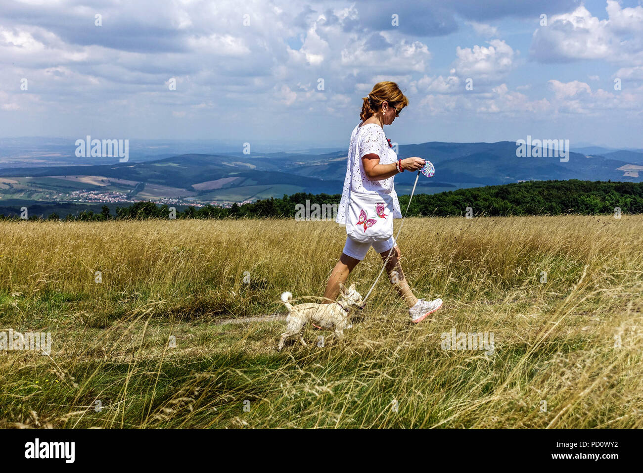Woman walking dog on leash, side view strolling a trip, Velka Javorina, Bilé Karpaty Mountains, Czech-Slovakian border Summer landscape Stock Photo