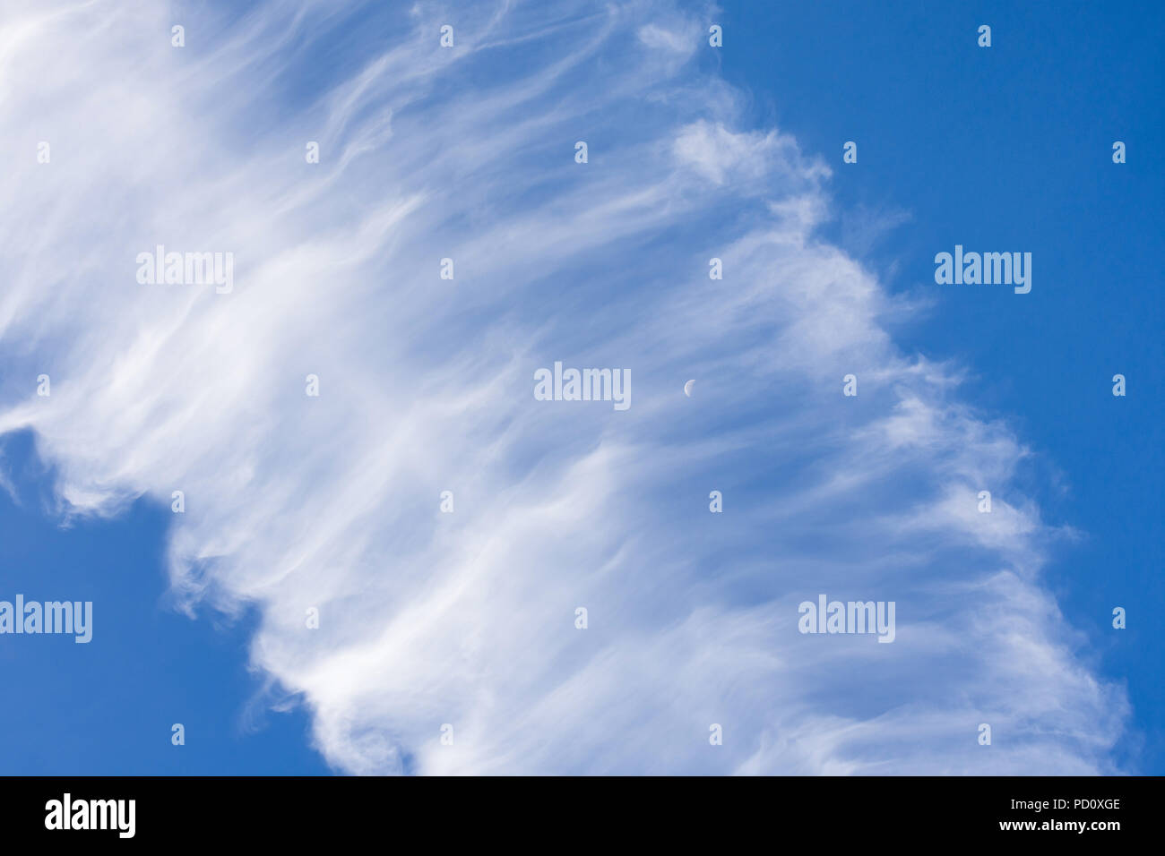 Windblown contrails in blue sky with half moon. Stock Photo