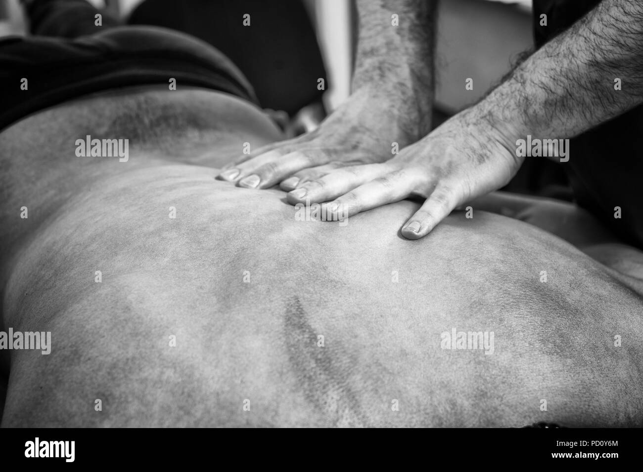 Black and White Close Up Detail of Male Massage Therapist Hands Giving Back Rub Down to Unidentifiable Male Client Lying on Stomach Stock Photo