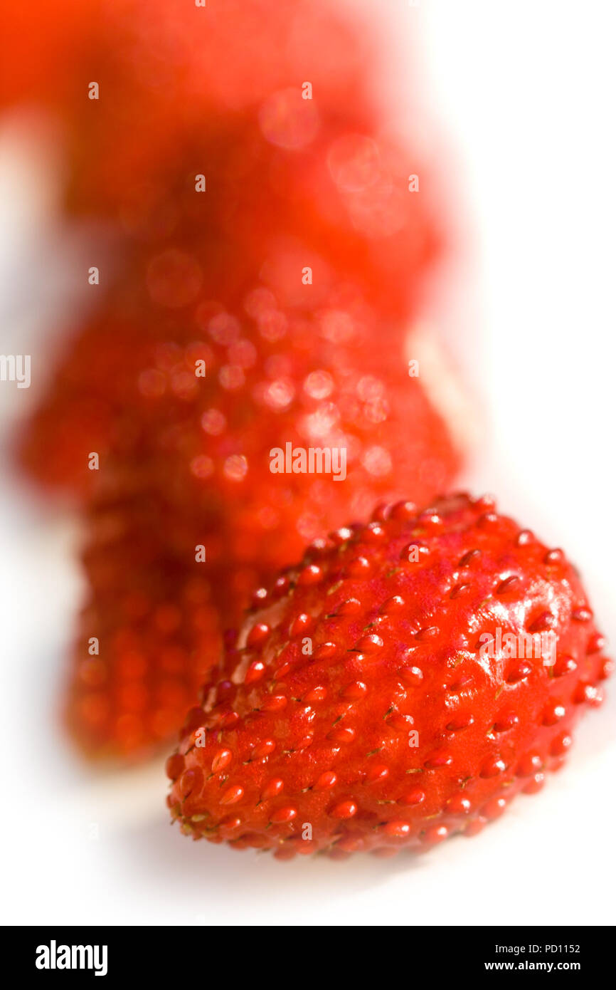 macro image of fresh and tasty wild strawberries Stock Photo - Alamy