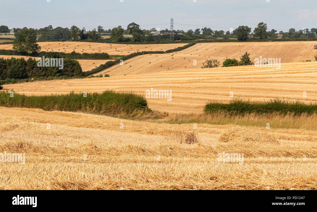 An image showing the contours in the fields after harvesting at Tilton
