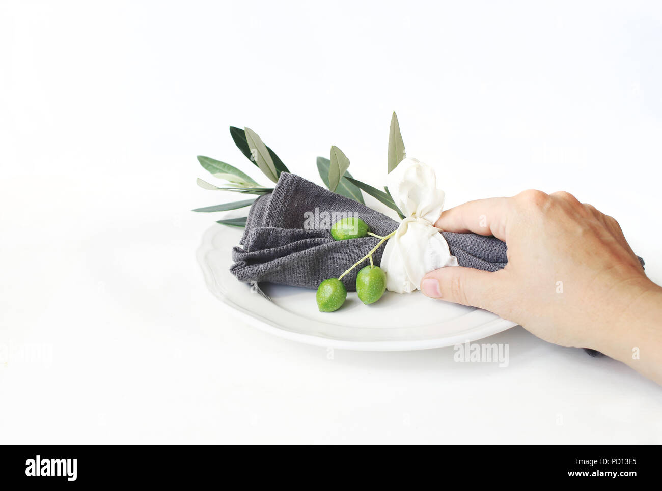 Hand holding olive branch hi-res stock photography and images - Alamy